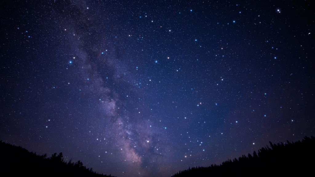 ELA (Crônica Literaria)